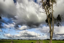 今晚19点30女排直播有哪些看点？